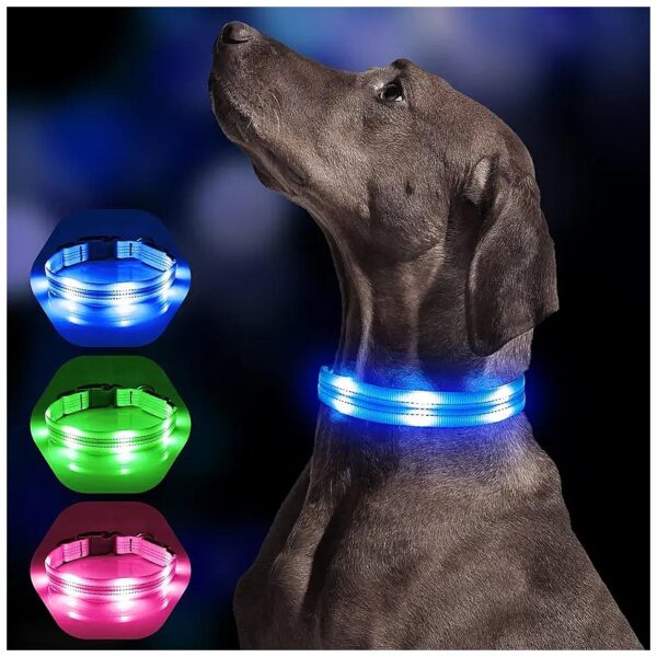 Soft Nylon Reflective LED Dog Collar for Small Medium Large Dogs