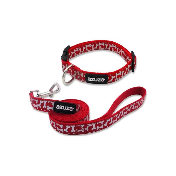 Soft Nylon Webbing Dog Collar and Leash Set with Red Ribbon and Chrome Ring, Medium Size