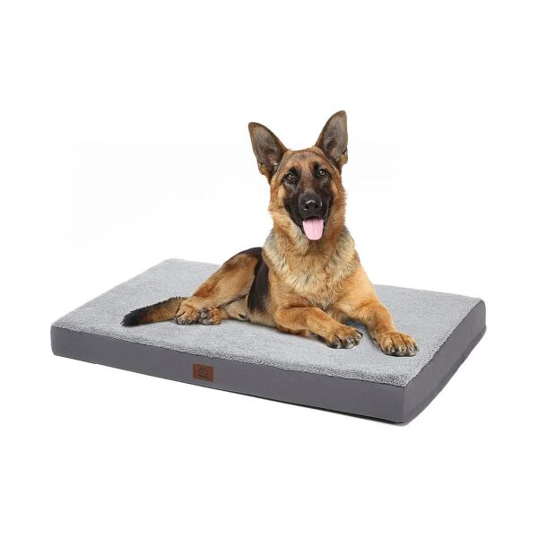 Soft Orthopedic Foam Dog Bed with Removable Cover for Medium and Large Dogs up to 75 lbs