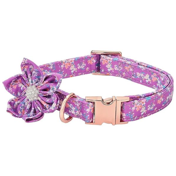 Soft Padded Dog Collar with Purple Daisy Print and Adjustable Metal Buckle