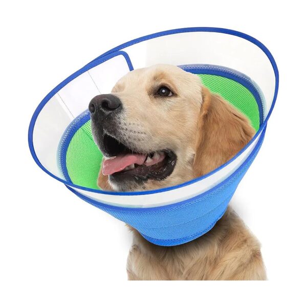 Soft Padded Dog Cone for Large Medium Small Dogs After Surgery-Ensure Healthy Recovery