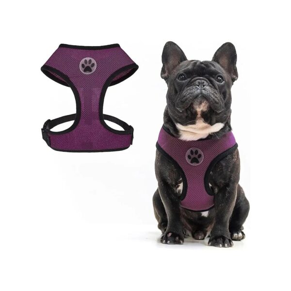 Soft Padded Dog Vest Harness with No Pull Single Leash D-Ring for Safe Dog Walks