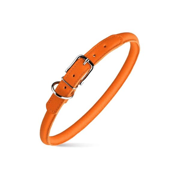 Soft Padded Leather Dog Collar for Small Medium Large Breeds Orange Round Luxury Design