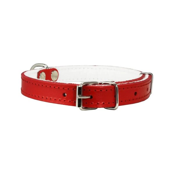 Soft Padded Leather Dog Collar in Red Color with Felt Lining and Buckle Closure