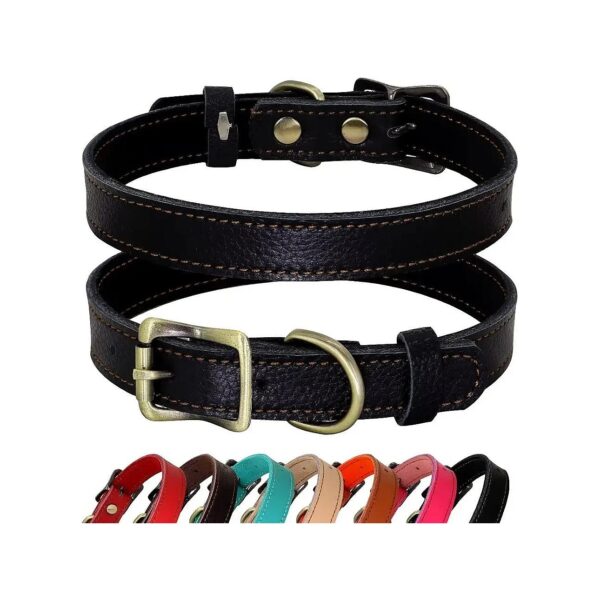 Soft Padded Leather Dog Collar with 7 Color Choices for Puppies and Small Dogs