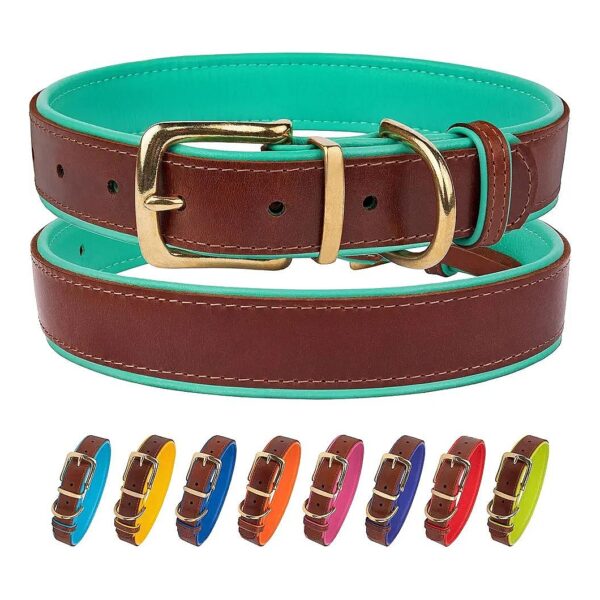 Soft Padded Leather Dog Collars with Brass Buckle Neck Fit 12-14