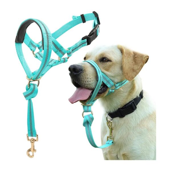 Soft Padded No Pull Dog Head Halter with Reflective Training Tool for Medium Large Dogs