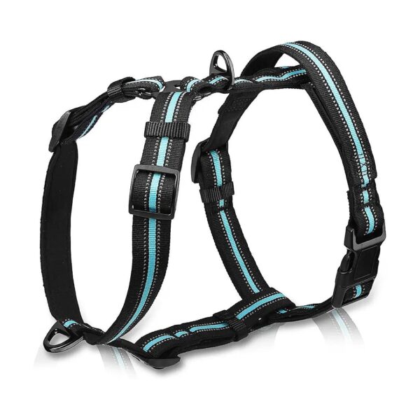 Soft Padded No Pull Dog Walking Halter with Reflective Accents and Adjustable Panels