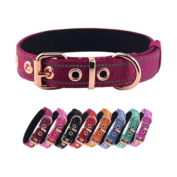 Soft Padded and Reflective Wine Red Nylon Dog Collar for Small to Large Breeds