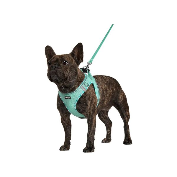 Soft Reflective Dog Harness with Leash Set for Small to Large Dogs No Pull Easy Walking