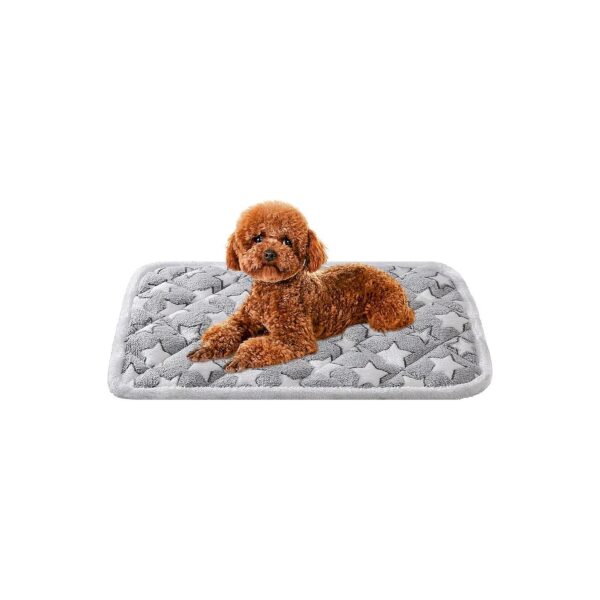 Soft Reversible Pet Mat for Small Dogs Ideal for 24-Inch Dog Crates