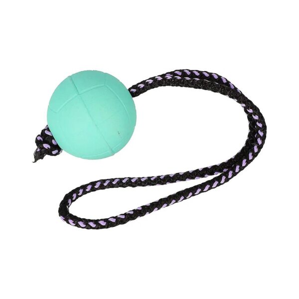 Soft Rubber and Rope Handle Dog Ball for Positive Reinforcement Training and Rewards