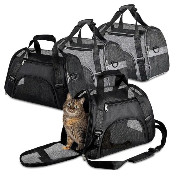 Soft Sided Cat Carrier for Small Pets Under 13lbs, Portable and Foldable Travel Bag