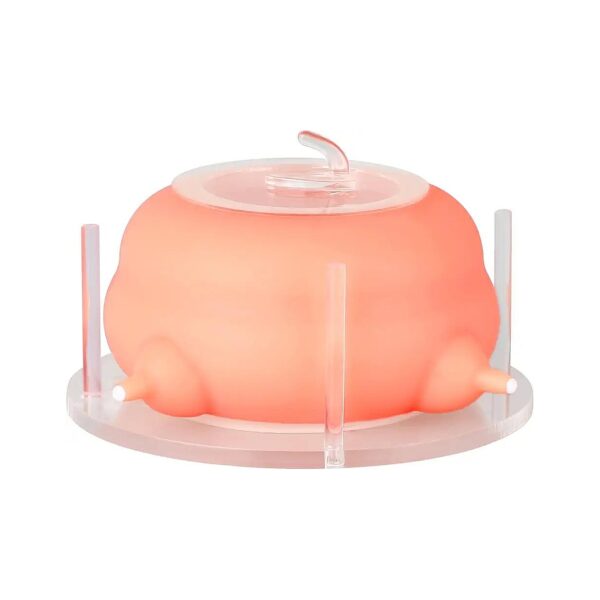 Soft Touch Silicone Puppy Feeder for Puppies and Kittens with 4 Nipples