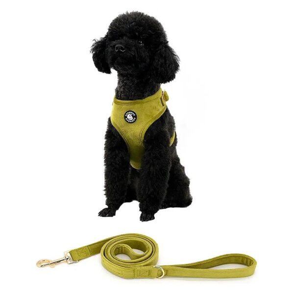 Soft Velvet Padded Dog Harness and Leash Set for Easy Walking and Training