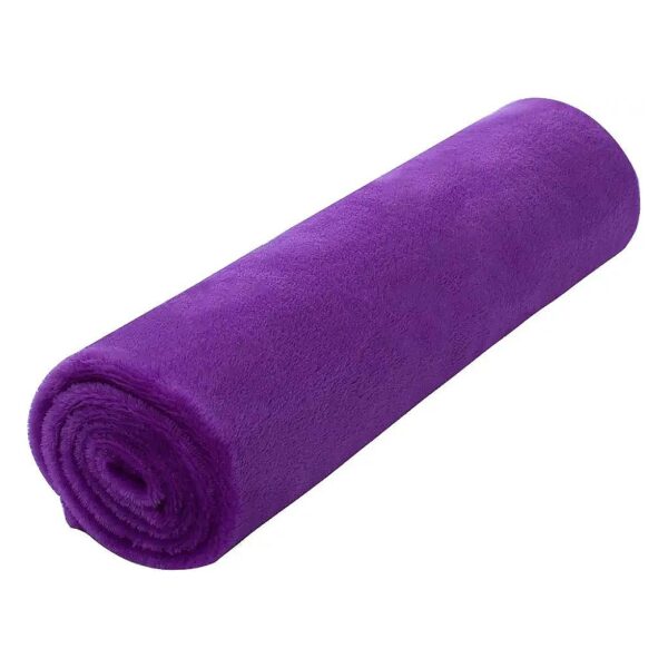 Soft Warm Plush Purple Polyester Fleece Dog Blanket 27x40 Inch for Small-Medium Dogs Cats