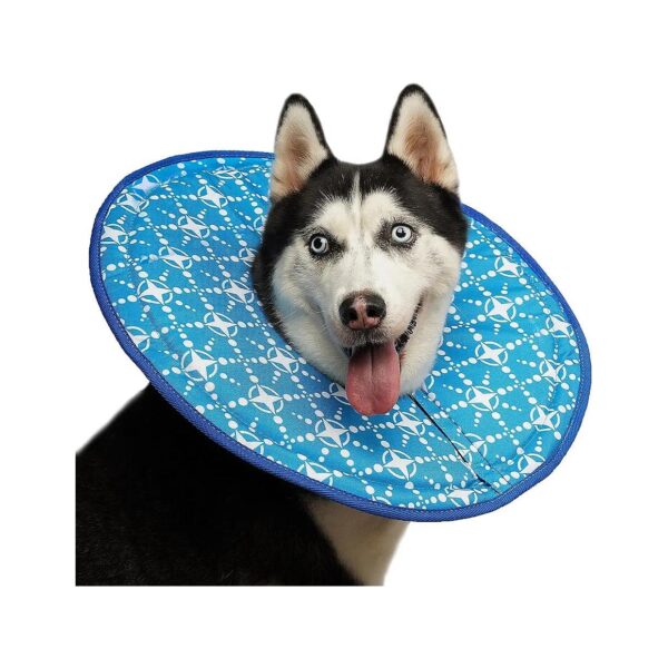 Soft Wound Recovery Collars for Dogs After Surgery Prevent Licking and Scratching