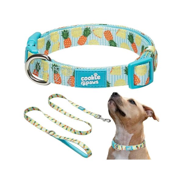 Soft and Adjustable Neoprene Dog Collar and Leash Set for Medium Dogs