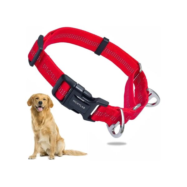 Soft and Adjustable Red Martingale Collar for Large and Extra Large Dogs