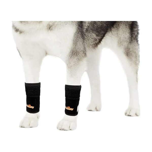 Soft and Breathable Metal Spring Dog Braces for Painless Support and Stabilization