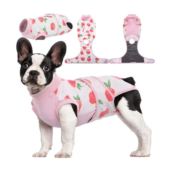 Soft and Breathable Post-Surgery Dog Recovery Suit for Abdominal Wounds