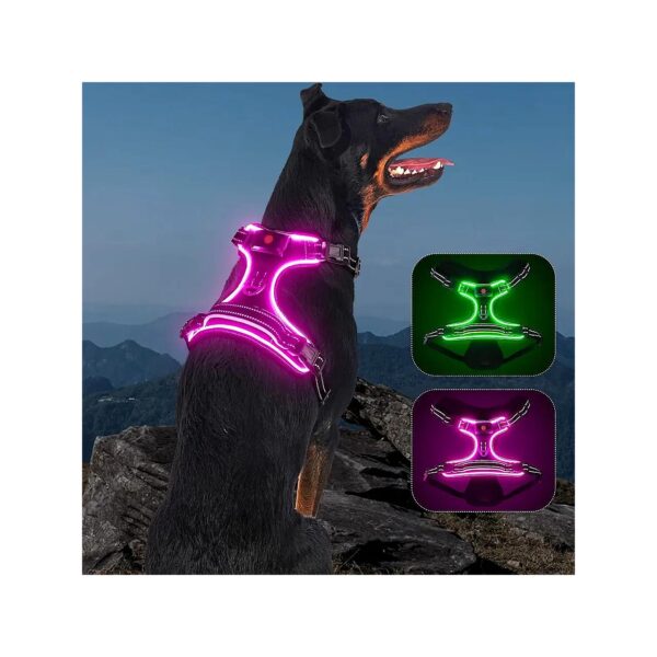 Soft and Bright LED Dog Harness with 360-Degree Illumination and Pet Safety in Mind