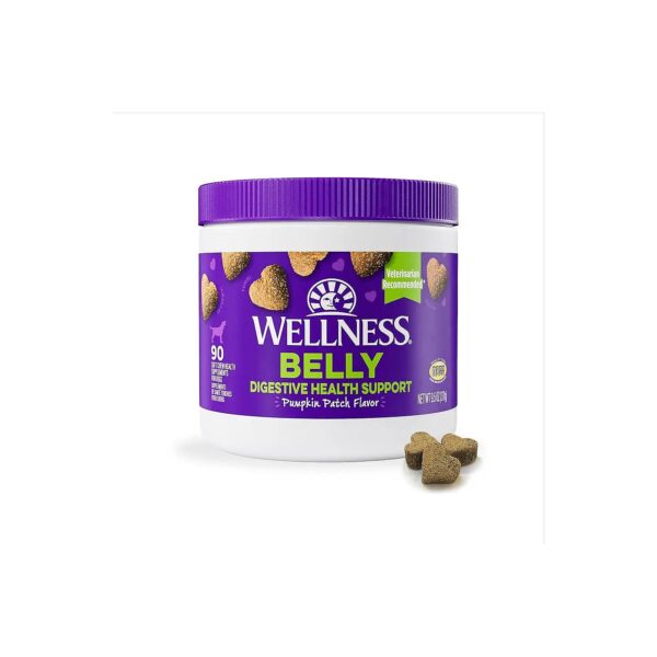 Soft and Chewy Pumpkin Flavor Digestive Health Supplements for Dogs