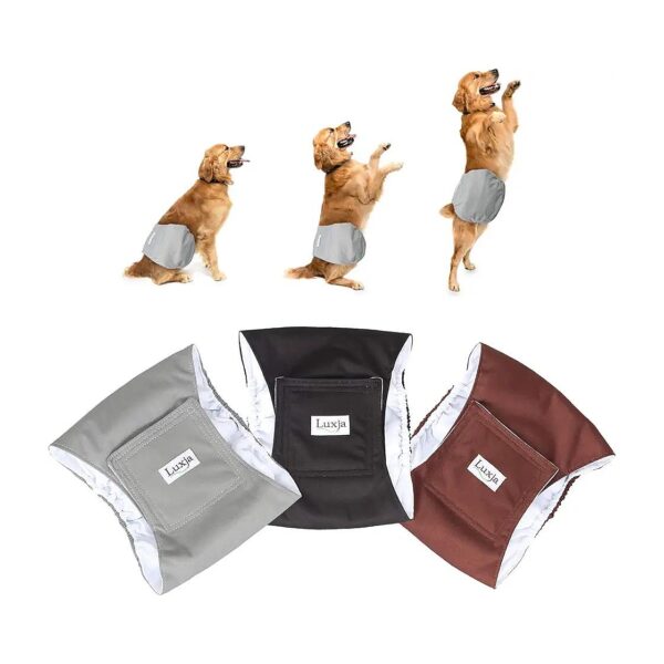 Soft and Comfortable Male Dog Diapers for Leaks and Accidents