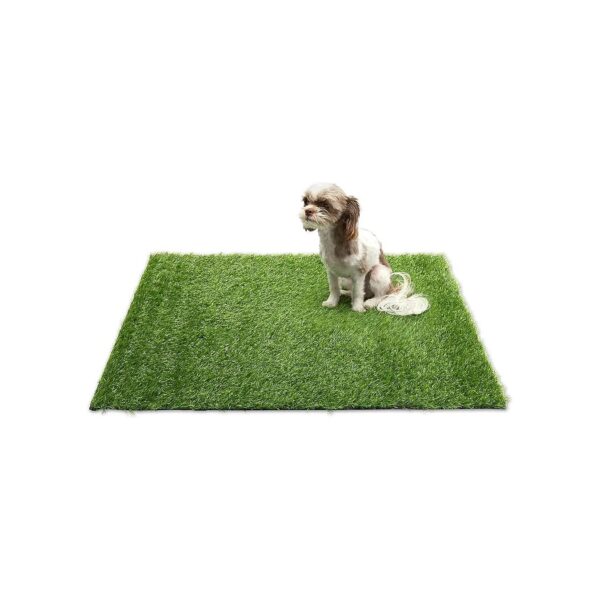 Soft and Comfortable Potty Training Area for Dogs with Faux Grass and Drainage Holes