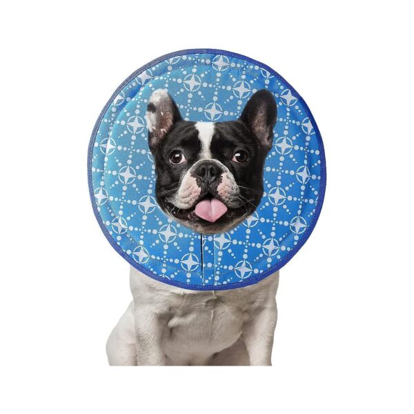 Soft and Flexible Dog Cone for Small to Large Dogs, Perfect Post Surgery Recovery