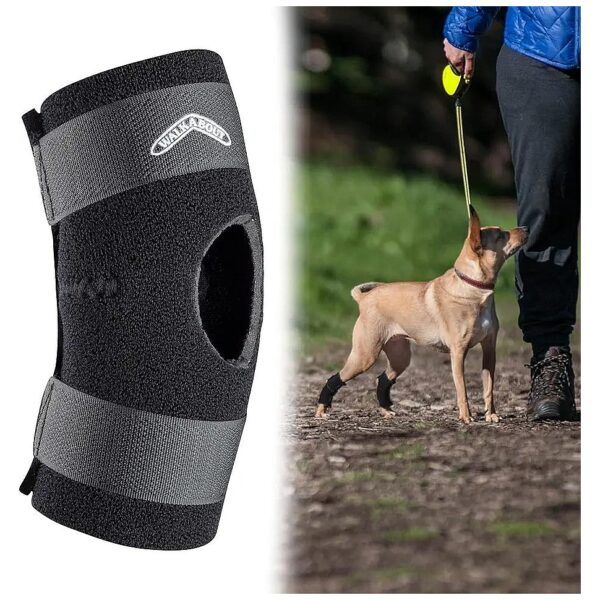 Soft and Flexible Hock Support for Canine Comfort and Mobility