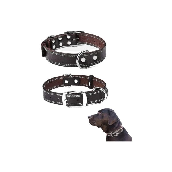 Soft and Flexible Leather Dog Collar for Small Medium Large Breed Dogs