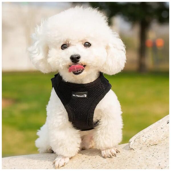 Soft and Sturdy Small Pet Harness Vest with Velcro and Plastic Buckle Medium Black