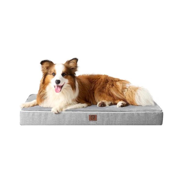 Soft and Supportive Memory Foam Dog Bed for Extra Large Breeds with Waterproof Presence