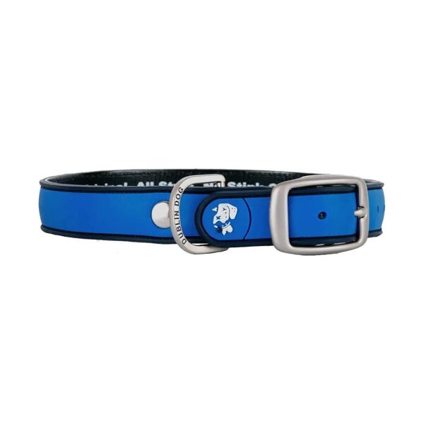 Solid Blue Dog Collar with Protective UV Finish for Small Dogs