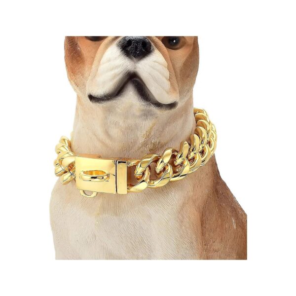 Solid Gold Chain Dog Collar with Heavy Duty Buckle for Medium Large Breed Canines