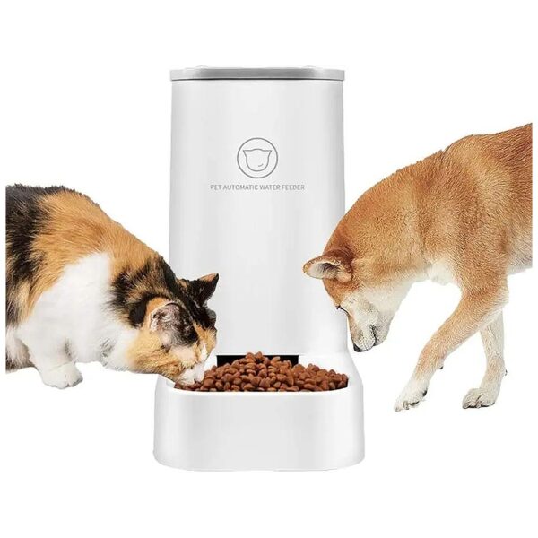 Space Efficient Pet Food and Water Feeder for Cats and Small Dogs