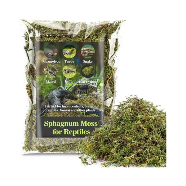 Sphagnum Moss for Reptile Habitats and Terrariums