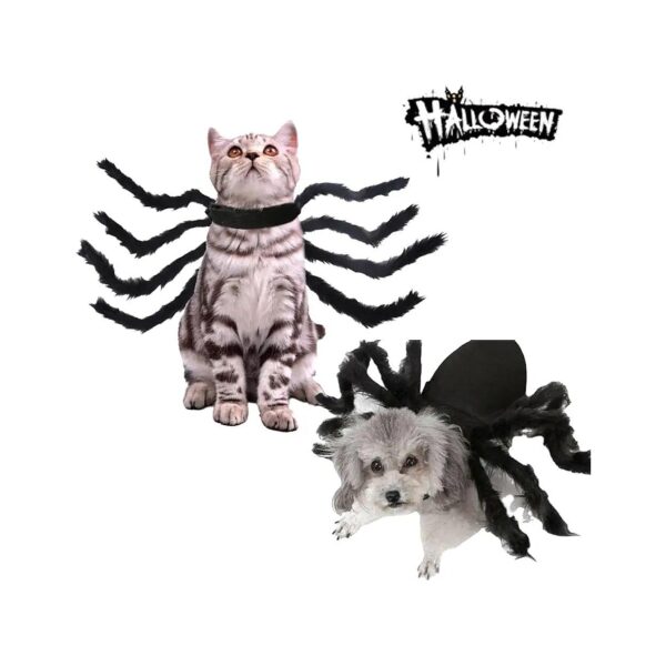 Spider Dog and Cat Costume for Large to Medium Breed Pets on Halloween