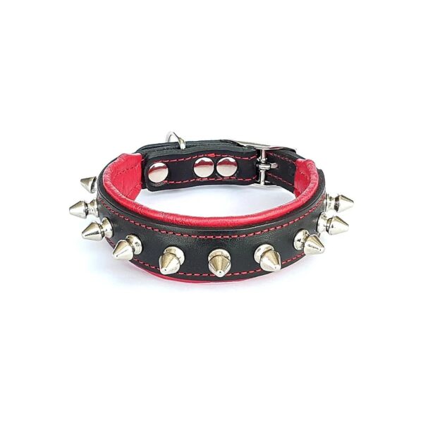 Spiky Collar Made from Soft Padded Leather with Blunt Screw Tips for Small Dog Breeds