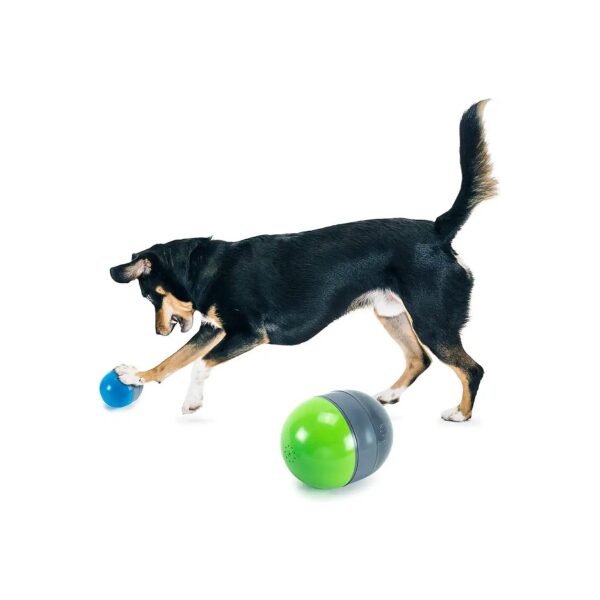 Squeaking Dog Toy for Dogs of All Breed Sizes and Temperaments