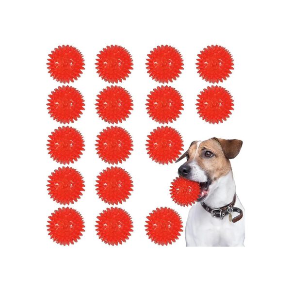 Squeaky Spiky Dog Ball Toy for Teething and Fetch for Small to Medium Dogs