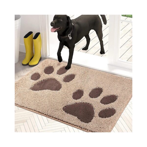 Stain-Resistant Microfiber Door Mat for Muddy and Wet Shoes, 20x5 Inches