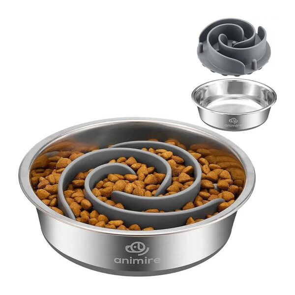 Stainless Steel 2-in-1 Metal Dog Bowl with Slow Feeder Insert for Small Medium Large Dogs