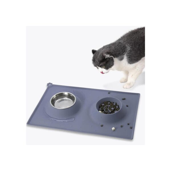 Stainless Steel and Silicone Slow Feeding Cat Bowl for Kitten Puppy Small Dogs