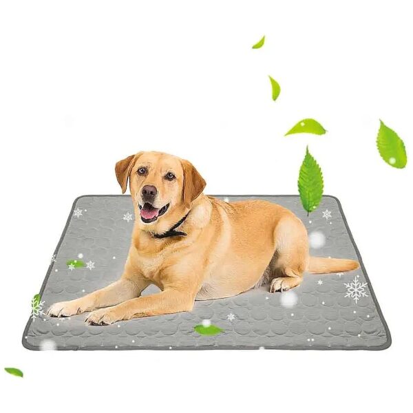 State-of-the-Art Cooling Mat for Dogs and Cats with Advanced Cooling Technology