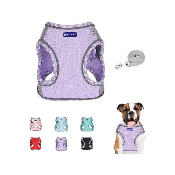 Step-In Mesh Dog Harness and Leash Set for a Secure and Comfortable Outdoor Experience