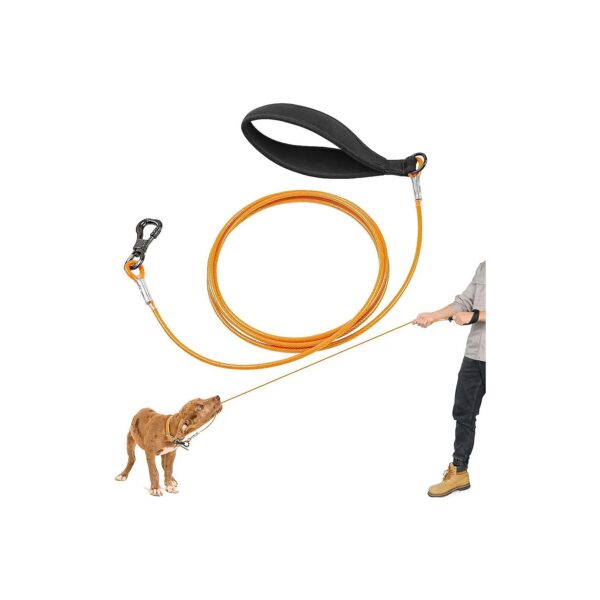 Strong 4mm Cable Dog Leash for Medium and Large Breed Dogs Walking Training Climbing