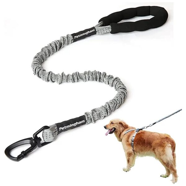 Strong Bungee Elastic Dog Leash with Durable Padded Handle for Large and Strong Breeds