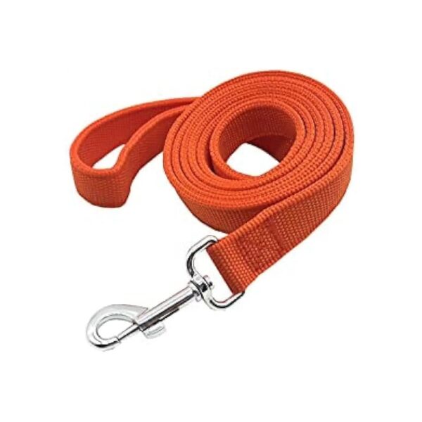 Strong Orange Nylon Dog Leash for Medium Large Dogs with 2-Layer Construction